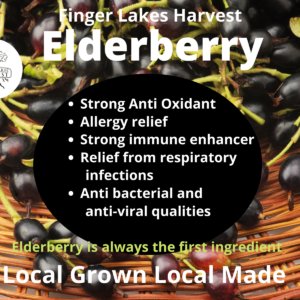 finger lakes harvest health benefits of elderberry