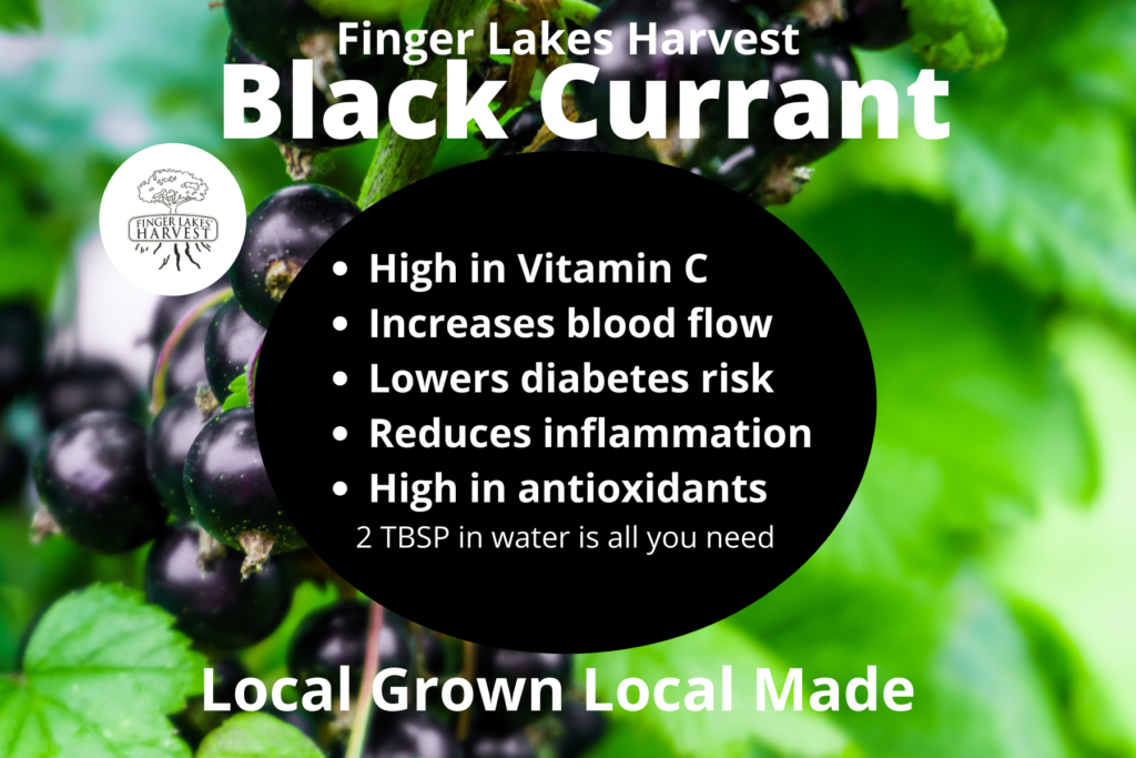 Black Currant Tonic - Finger Lakes Harvest